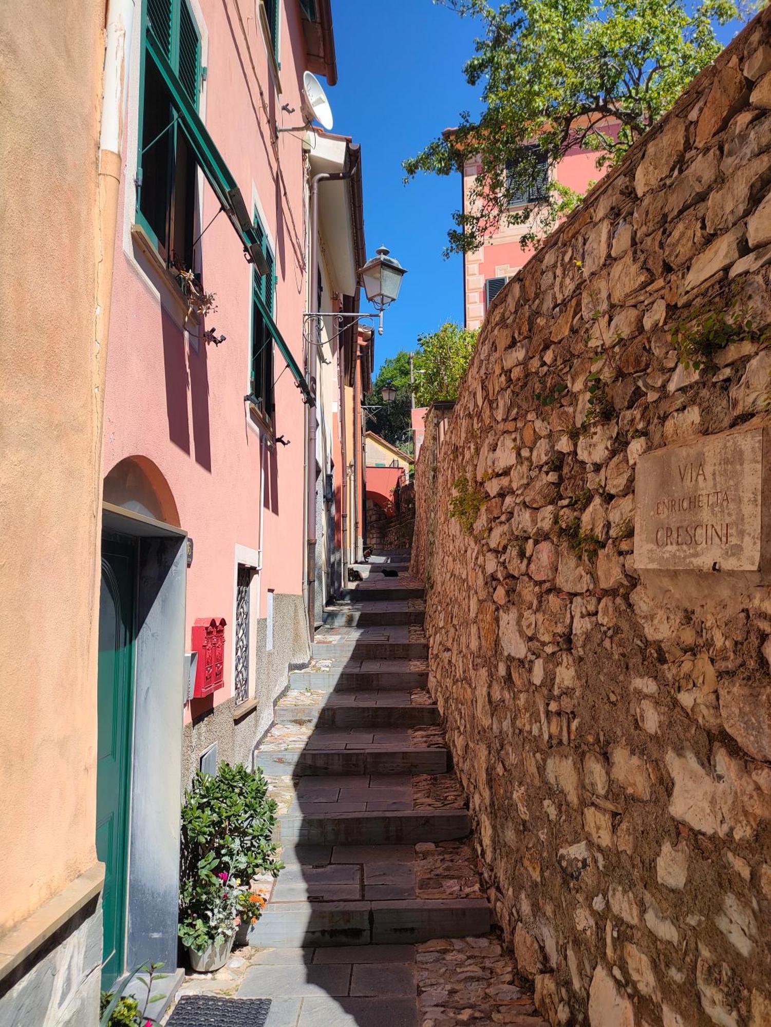 Camera Tra Le Cinque Terre, Camogli E Portofino. Vista Valle E Scorcio Mare All'Orizzonte Castiglione Chiavarese Екстериор снимка