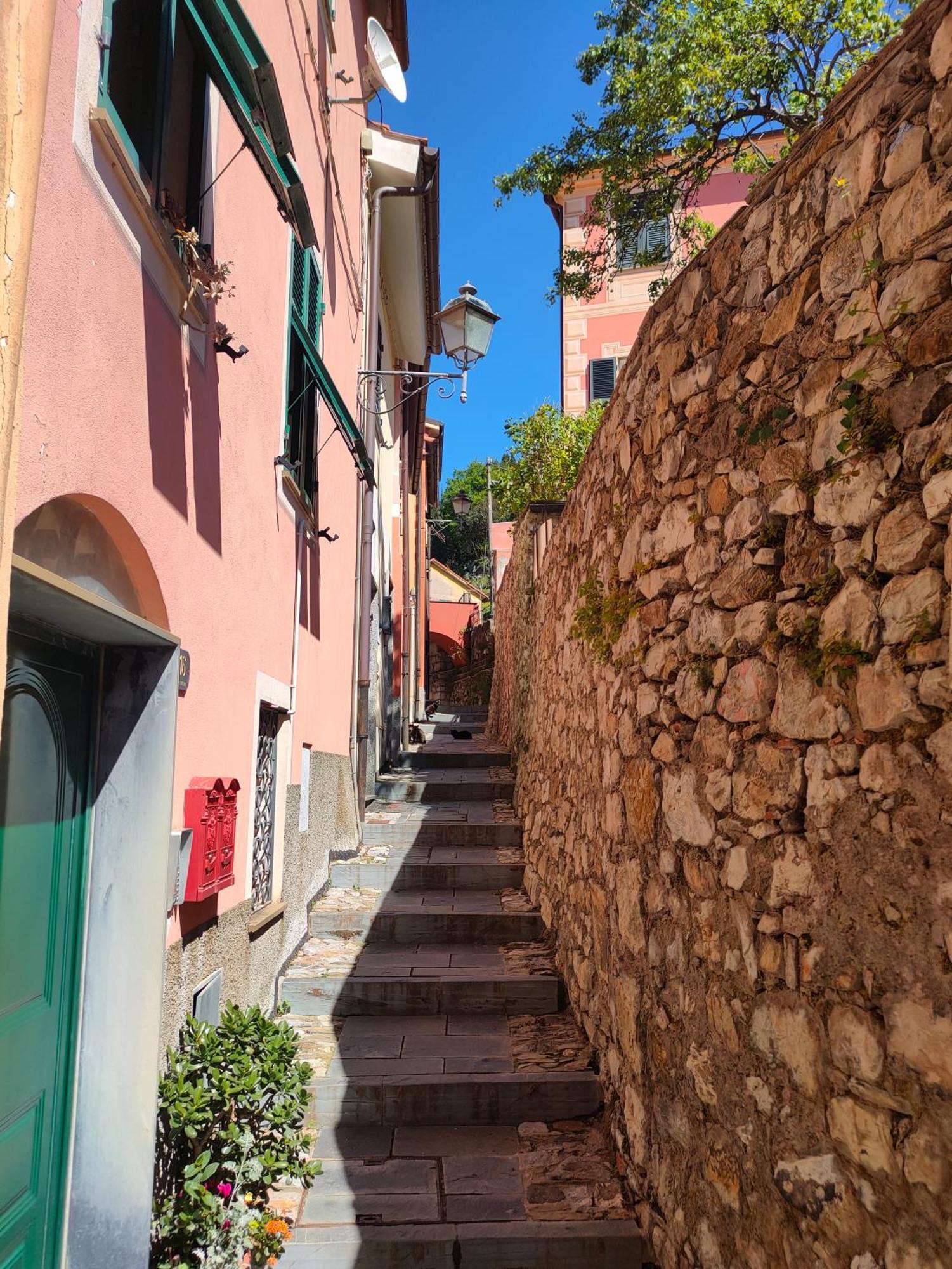 Camera Tra Le Cinque Terre, Camogli E Portofino. Vista Valle E Scorcio Mare All'Orizzonte Castiglione Chiavarese Екстериор снимка