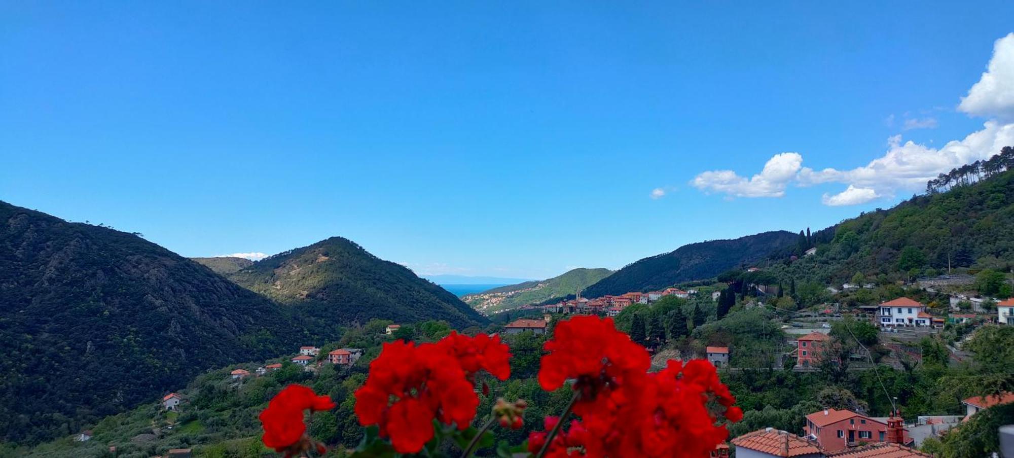 Camera Tra Le Cinque Terre, Camogli E Portofino. Vista Valle E Scorcio Mare All'Orizzonte Castiglione Chiavarese Екстериор снимка